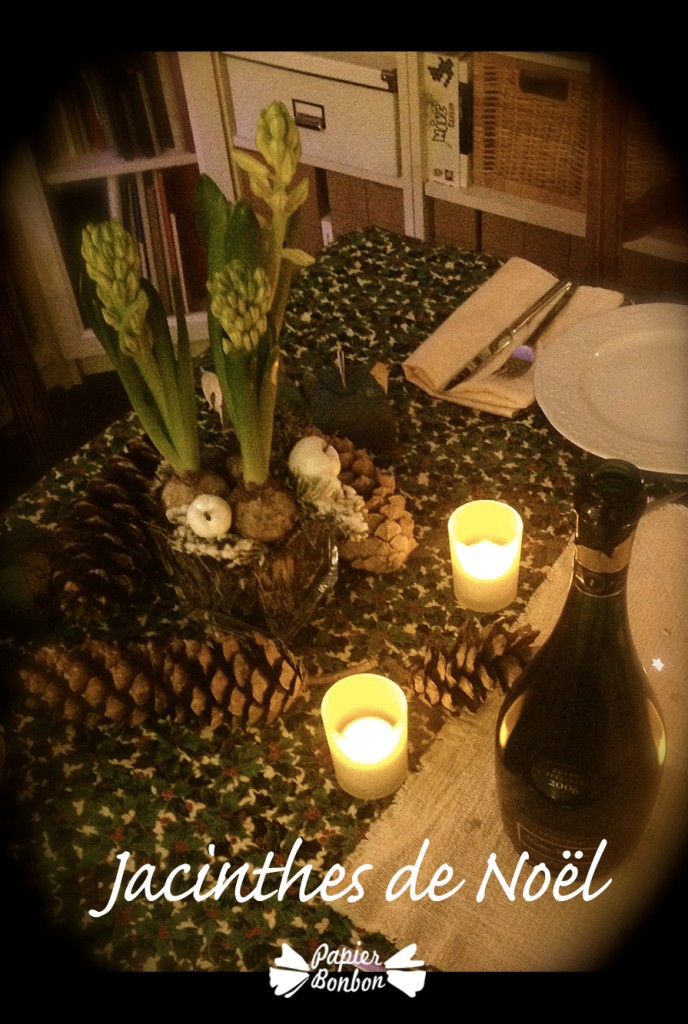 Jacinthes de Noël