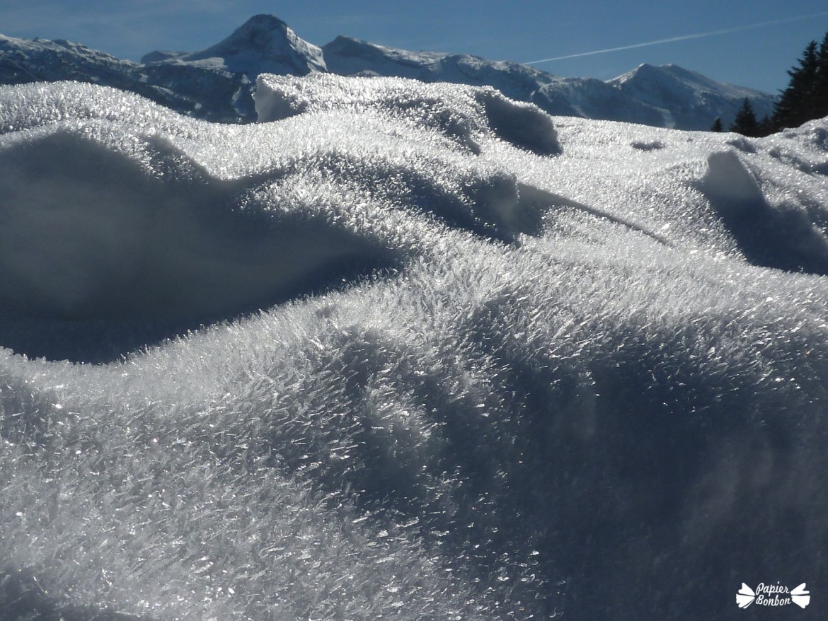 Villars de Lans Février 2015 neige givrée