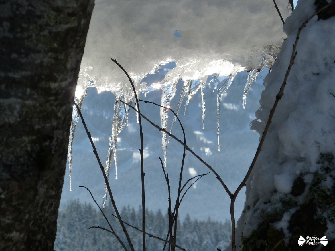 Villars de Lans Février 2015 stalactites