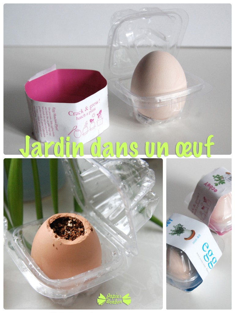 Jardinière dans un œuf