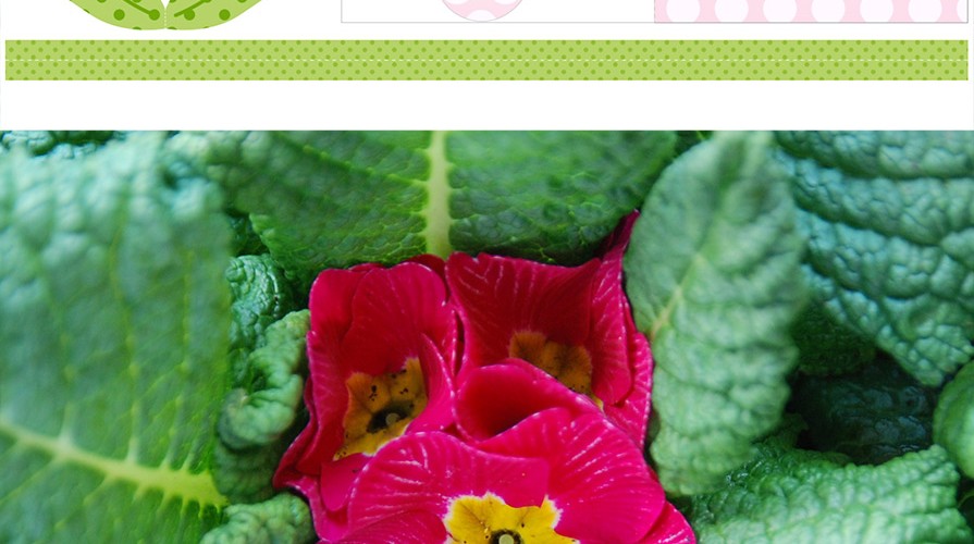 4th may flower printable - #flowerpower2015