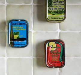 Détournement objets : idées doc boîte de sardines la Belle-iloise
