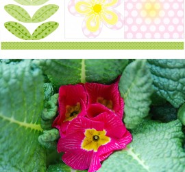#flowerpower2015 Printable de fleur - 4 mai