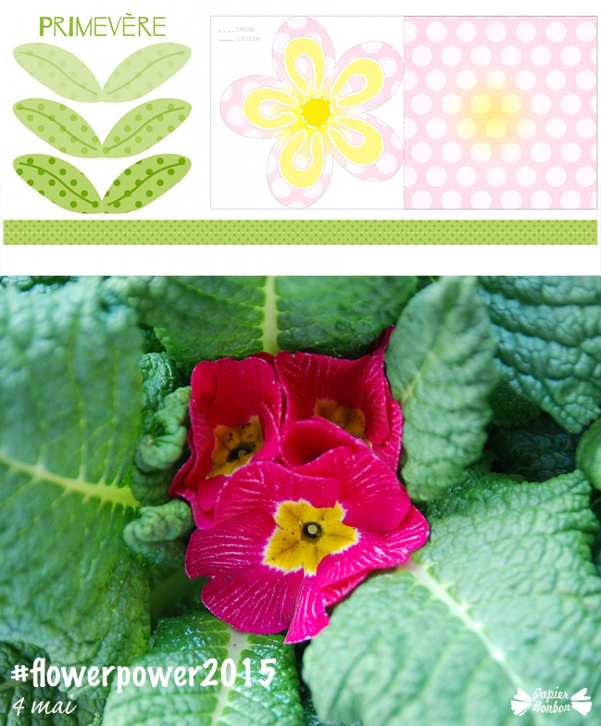 #flowerpower2015 Printable de fleur - 4 mai