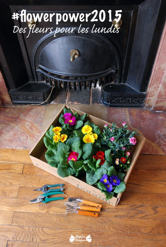 flowerpower2015 projet blog une photo un printable pour le lundi