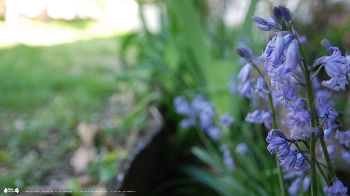 Springtime desktop wallpapers 16:9 Printemps