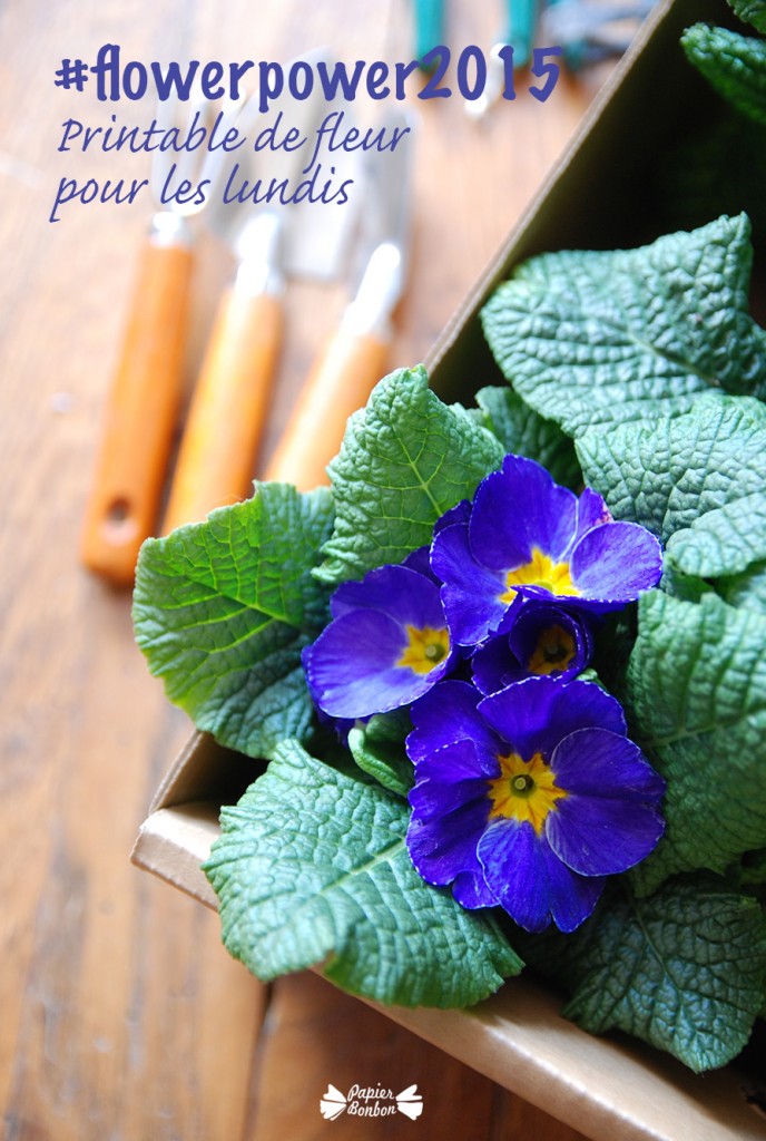 Printable de fleur - 4 mai