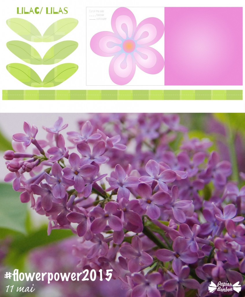 Flowerpower2015 Printable de fleur