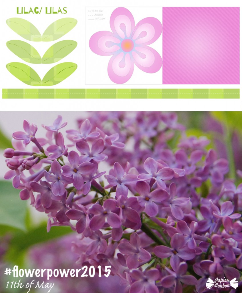 11th may flower printable - #flowerpower2015