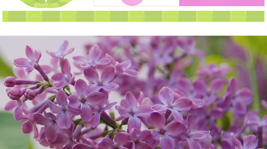 11th may flower printable - #flowerpower2015