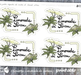 Limonade de fleurs de sureau : Etiquettes printable