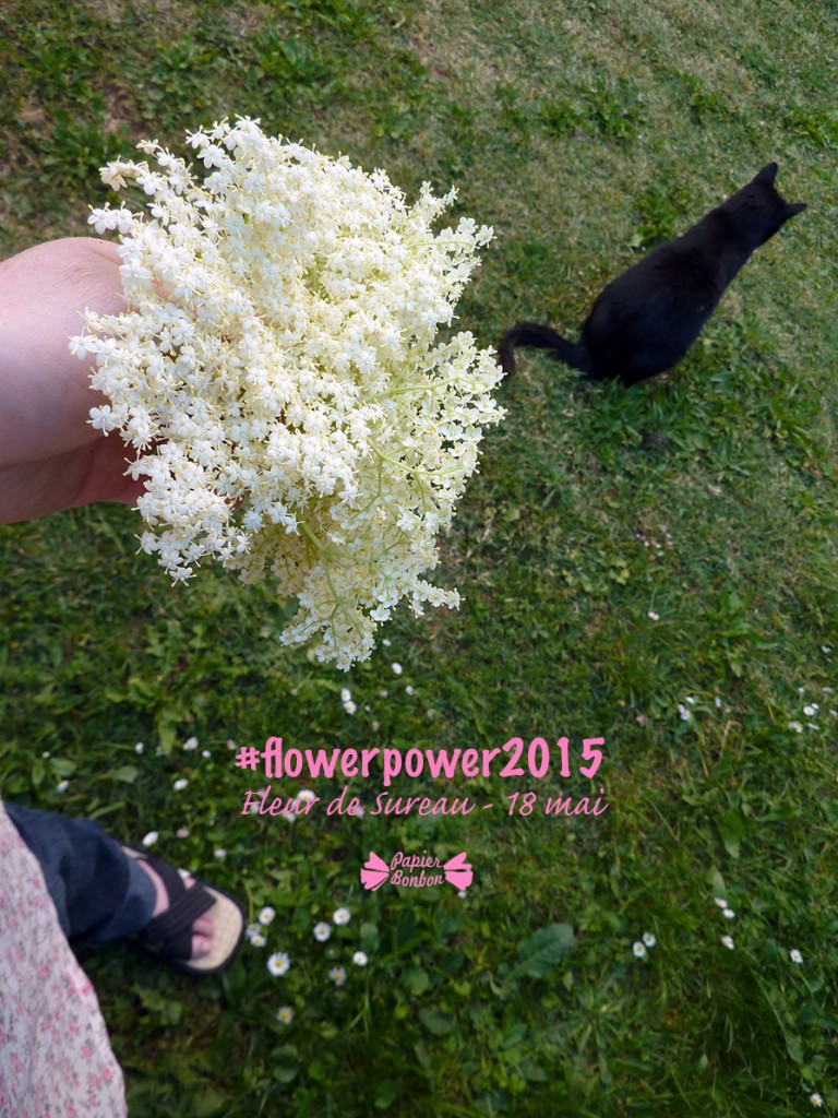 Flowerpower2015 Printable de fleur de sureau : 18 mai