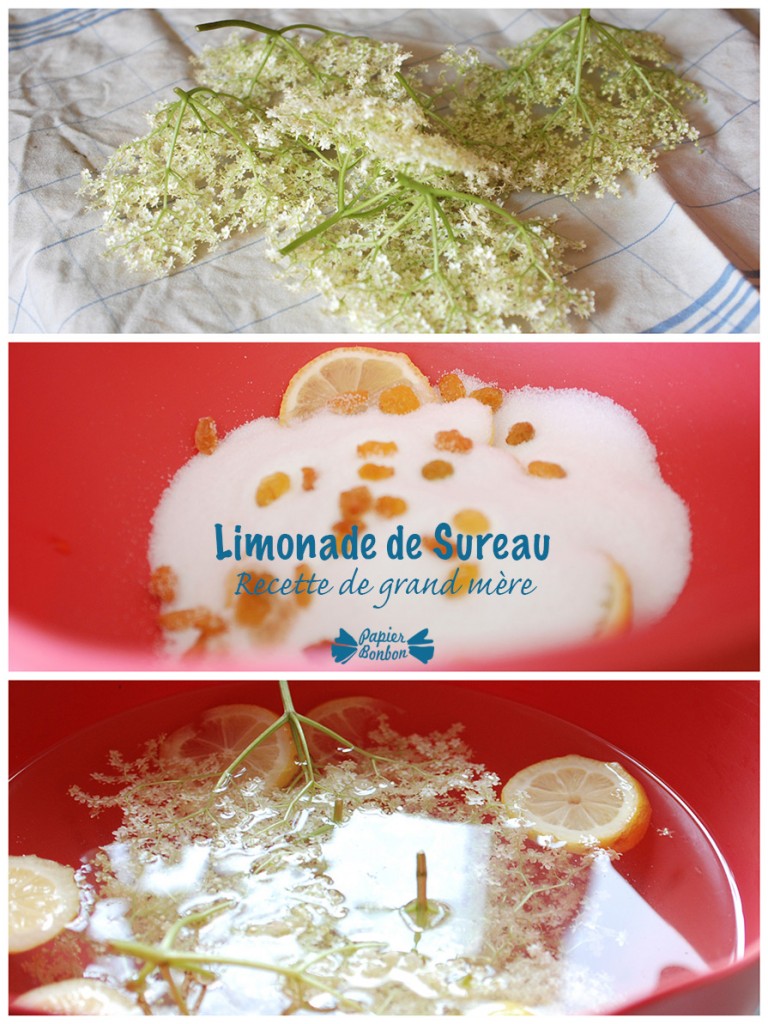 Limonade de fleurs de sureau : recette