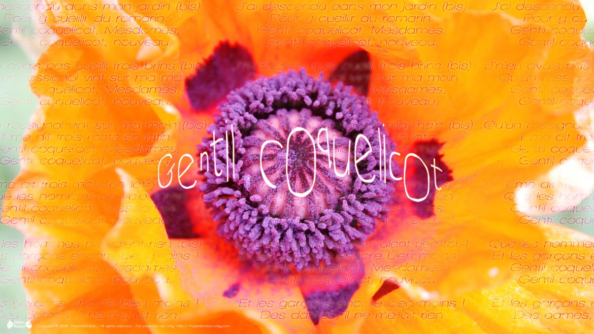 fond écran coquelicot