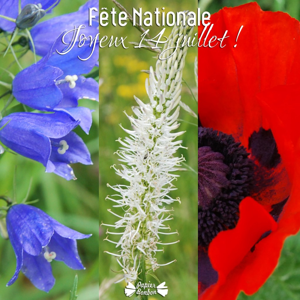 Drapeau français en fleurs 14 juillet !
