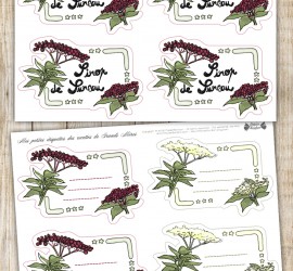 Etiquettes à imprimer fleurs et baies de sureau