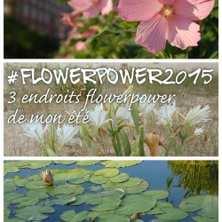 3 endroits #flowerpower2015 de mon été