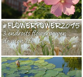3 endroits #flowerpower2015 de mon été