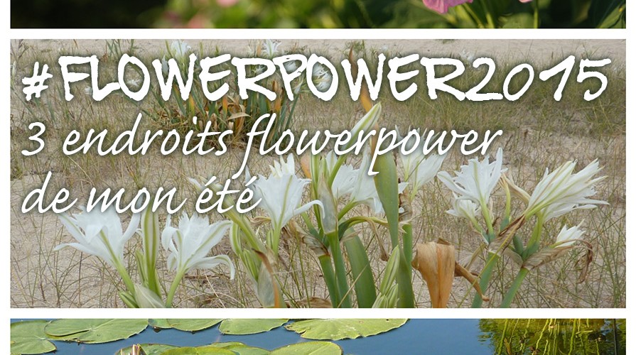 3 endroits #flowerpower2015 de mon été