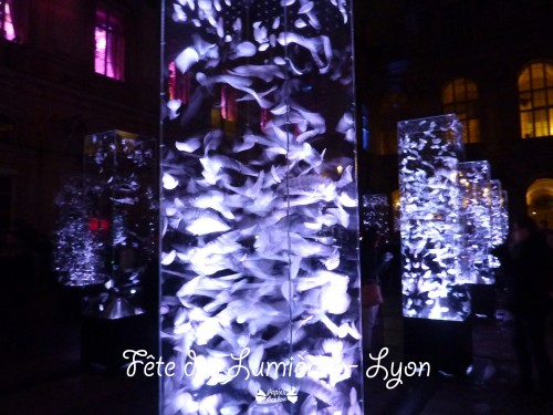 Fêtes de lumière - Lyon