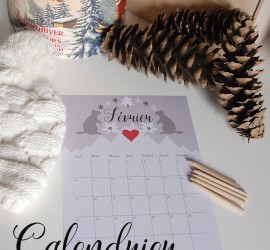 Printable Calendrier février 2016