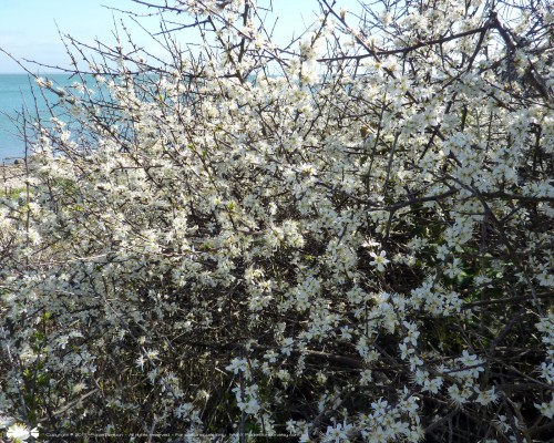 Desktop wallpaper Brittany Beauty - Fond d'écran Beauté de Bretagne