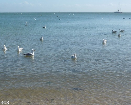 Desktop wallpaper Brittany Beauty - Fond d'écran Beauté de Bretagne