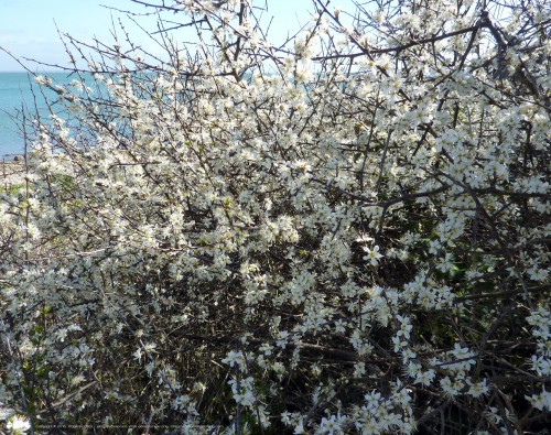 Desktop wallpaper Brittany Beauty - Fond d'écran Beauté de Bretagne