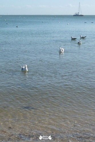 iphone4 Desktop wallpaper Brittany Beauty - Fond d'écran Beauté de Bretagne