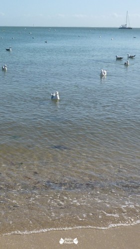 iphone5- Desktop wallpaper Brittany Beauty - Fond d'écran Beauté de Bretagne