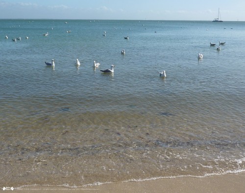 Desktop wallpaper Brittany Beauty - Fond d'écran Beauté de Bretagne