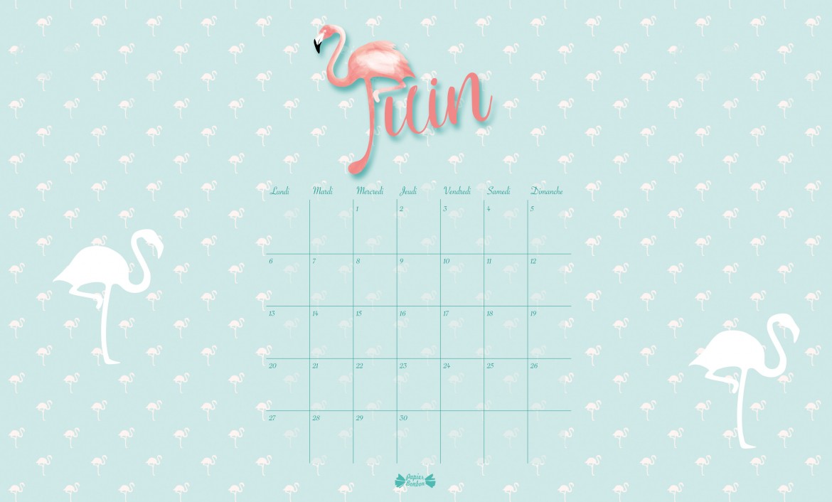 Fond d'élan Juin 2016 Flamand rose