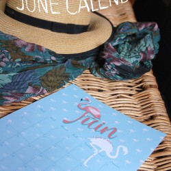 June Flamingo printable calendar