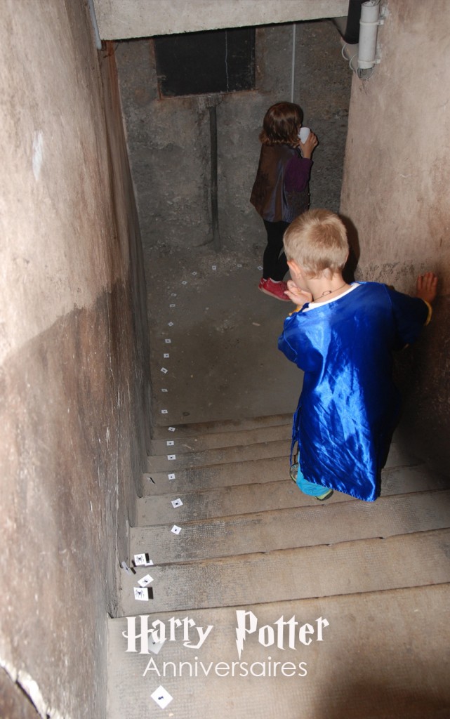 araignées harry potter