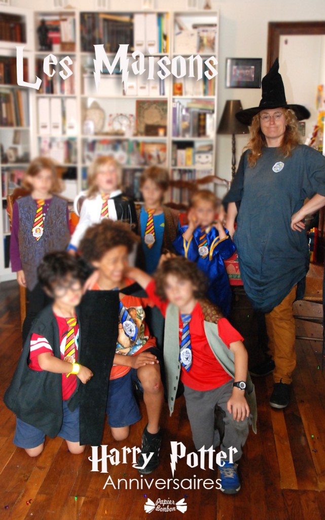 Les cravates des maisons - Harry Potter