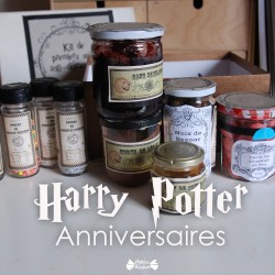 Activités d'anniversaire harry potter