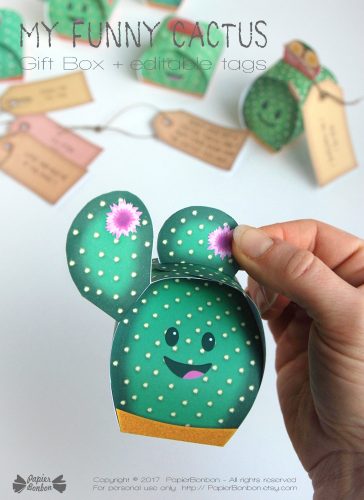 Boîtes cactus / Cactus gift box