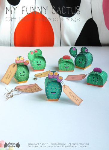 Boîtes cactus / Cactus gift box