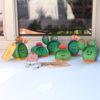 Boîtes cactus / Cactus gift box