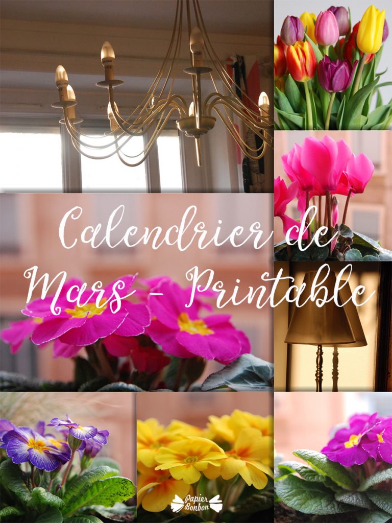 calendrier mars 2017 imprimable inspiration de fleurs