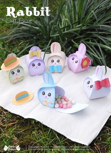 Rabbit Gift Box - Boîte lapin