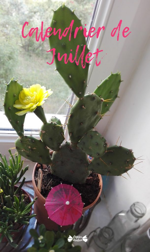Cactus calendrier de juillet à imprimer