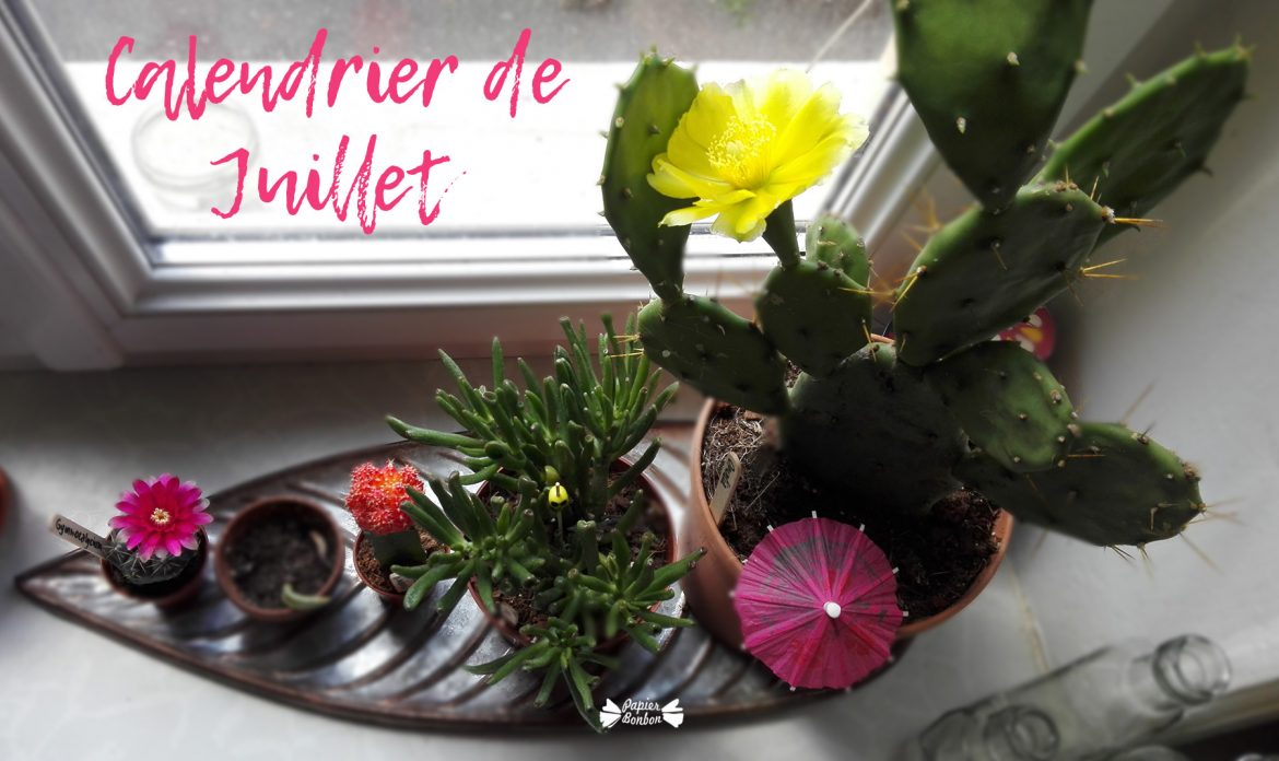 Cactus calendrier de juillet à imprimer
