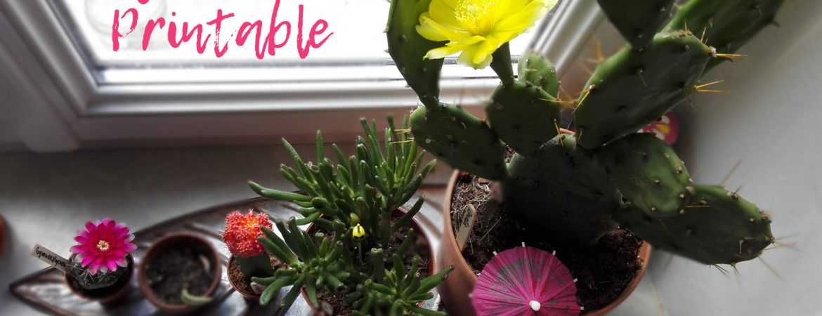 July 2017 printable calendar with cactus