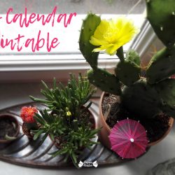 July 2017 printable calendar with cactus