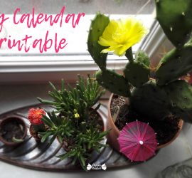 July 2017 printable calendar with cactus