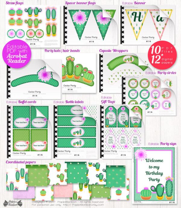 Décorations de Fête Cactus - Cactus decorations kit