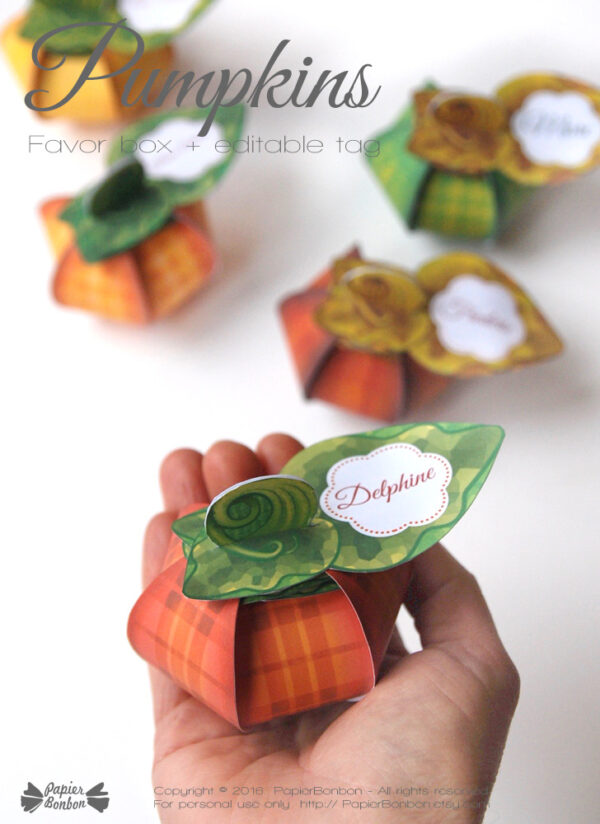 Boîte cadeau Citrouille automne / thankful pumpkin favor box