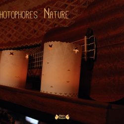 photophore nature à imprimer