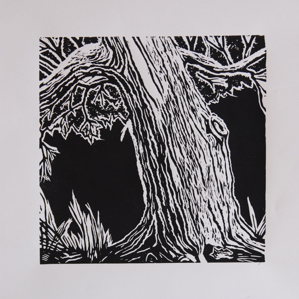 Linogravure - explorations - URDLA/MJC